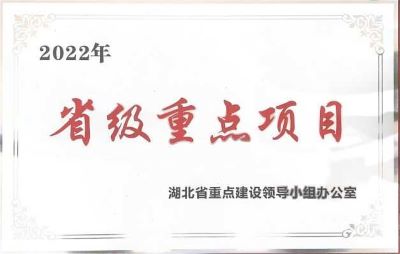 湖北泓港實業(yè)有限公司榮獲 “省重點項目” 榮譽證書