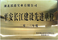 湖北泓港實業(yè)有限公司榮獲 “先進單位” 的榮譽稱號